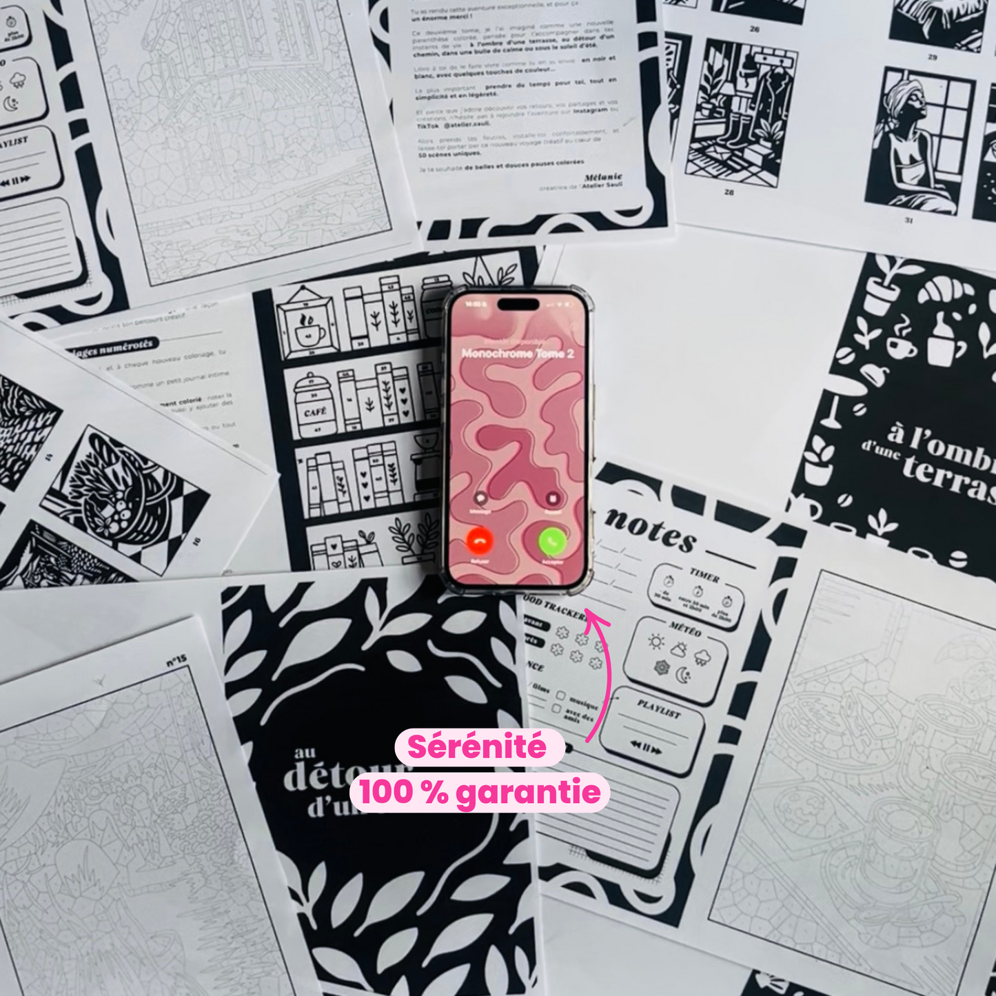 Monochrome Tome 2